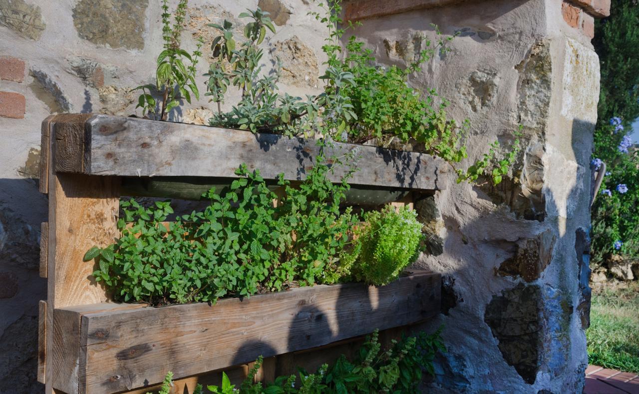 Bed and Breakfast Dojo Bianco à Massa Marittima Extérieur photo